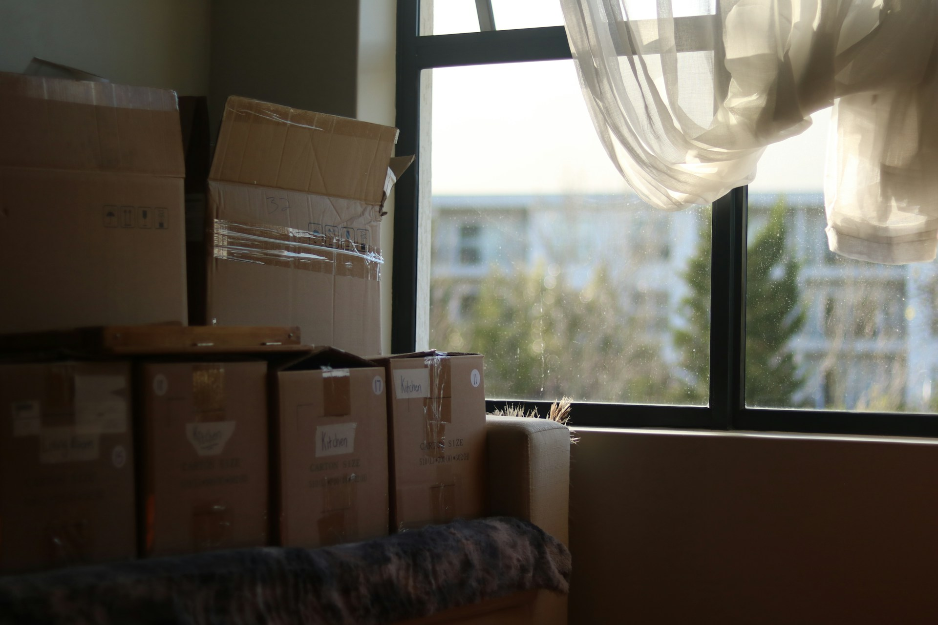 Moving Out? Junk Removal Tips for Pflugerville Residents